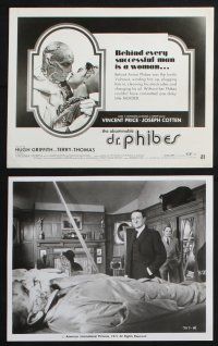3f187 ABOMINABLE DR. PHIBES 7 8x10 stills '71 Vincent Price, Joseph Cotten, Virginia North