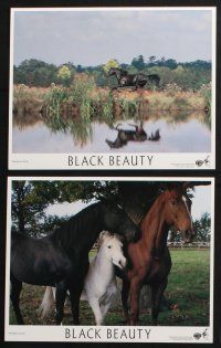 3f590 BLACK BEAUTY 8 8x10 mini LCs '94 Sean Bean, Anna Sewell story of a girl & her beloved horse!