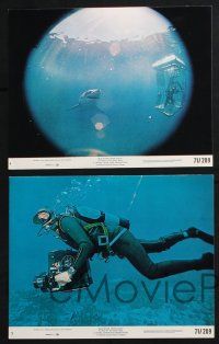 3f969 BLUE WATER, WHITE DEATH 5 8x10 mini LCs '71 cool images of great white sharks & scuba divers!