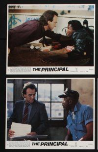 3f832 PRINCIPAL 8 8x10 mini LCs '87 James Belushi, Louis Gossett, Jr., troubled teens!