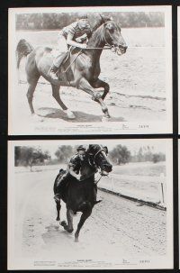 3f172 RACING BLOOD 8 8x10 stills '54 great images of jockey Jimmy Boyd, horse racing!