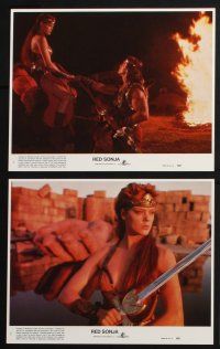 3f845 RED SONJA 8 8x10 mini LCs '85 Brigitte Nielsen & Arnold Schwarzenegger, Richard Fleischer!