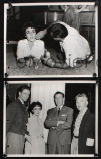 3f415 RHAPSODY 3 8x10 key book stills '54 all candid images w/ Elizabeth Taylor + Vidor, Ericson!