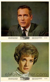 3f544 TORN CURTAIN 12 color 8x10 stills '66 Paul Newman, Julie Andrews, Alfred Hitchcock!