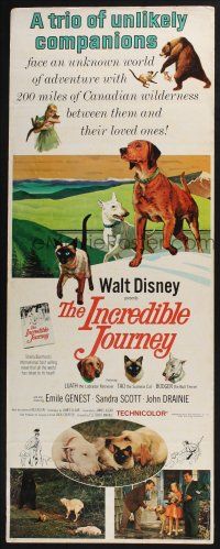3w576 INCREDIBLE JOURNEY insert '63 Disney, art of Bull Terrier, Siamese cat & Labrador Retriever!