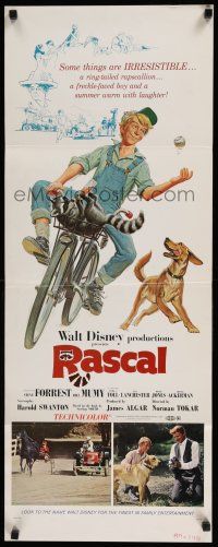 3w715 RASCAL insert '69 Walt Disney, great art of Bill Mumy on bike with raccoon & dog!