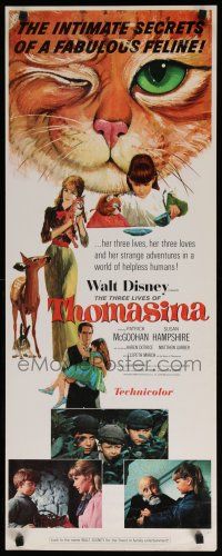 3w799 THREE LIVES OF THOMASINA insert '64 Walt Disney, great art of winking & smiling cat!