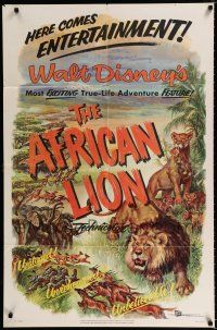 4a019 AFRICAN LION 1sh '55 Walt Disney jungle safari documentary, cool animal artwork!