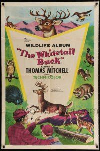 4a967 WHITETAIL BUCK 1sh '55 RKO nature documentary, art of deer & forest animals!