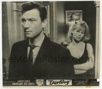 4b052 DARLING Australian lobby card '65 sexy Julie Christie stares at Laurence Harvey!