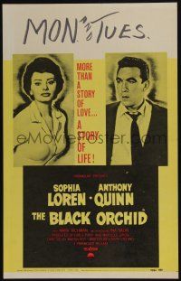 4c257 BLACK ORCHID WC '59 Anthony Quinn, Sophia Loren, a story of love directed by Martin Ritt!