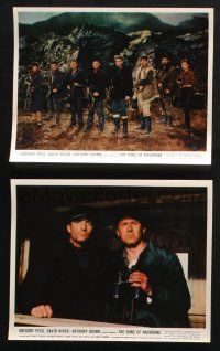 4e253 GUNS OF NAVARONE 2 color 8x10 stills '61 Gregory Peck, David Niven, Anthony Quinn, classic!