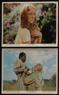 4e074 BUSHBABY 8 color 8x10 stills '70 Margaret Brooks, Louis Gossett, true adventure big as Africa!