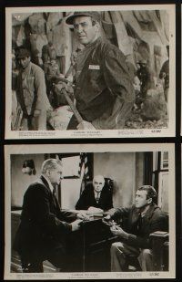 4e340 CARBINE WILLIAMS 12 8x10 stills '52 great images of James Stewart, Jean Hagen, Wendell Corey!