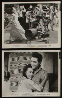 4e363 FLAMING STAR 11 8x10 stills '60 Elvis Presley, Barbara Eden, directed by Don Siegel!
