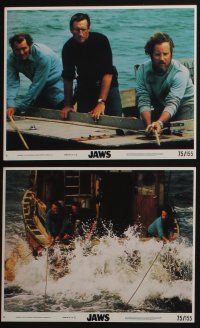4e095 JAWS 8 8x10 mini LCs '75 Roy Scheider, Robert Shaw & Richard Dreyfuss, Gary, big shark!