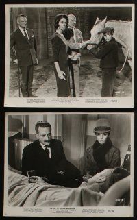 4e627 LIST OF ADRIAN MESSENGER 6 8x10 stills '63 John Huston directed, George C. Scott, Douglas!