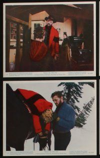 4e049 TRACK OF THE CAT 10 color 8x10 stills '54 Robert Mitchum & Teresa Wright, William Wellman