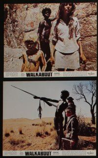 4e173 WALKABOUT 8 color 8x10 stills '71 David Guptill leads Jenny Agutter & Luc Roeg in the Outback