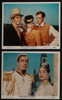 4e034 WAR & PEACE 12 color 8x10 stills '56 Audrey Hepburn, Henry Fonda, Mel Ferrer, Leo Tolstoy!