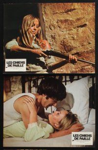 4g318 STRAW DOGS 9 French LCs '72 Dustin Hoffman & Susan George, directed by Sam Peckinpah!