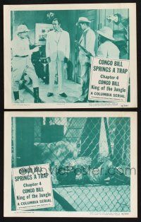 4k917 CONGO BILL 2 chapter 4 LCs '48 Don McGuire as King of the Jungle, Congo Bill Springs a Trap!