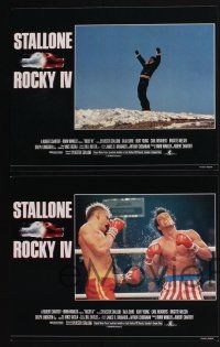 4k399 ROCKY IV 8 English LCs '85 boxing heavyweight boxing champ Sylvester Stallone, Lundgren!