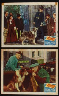 4k804 CHALLENGE TO LASSIE 3 LCs '49 classic canine Collie is wanted by the law, wacky images!