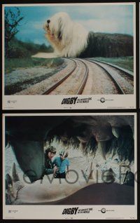 4k175 DIGBY THE BIGGEST DOG IN THE WORLD 8 LCs '74 cool giant artwork of sheep dog, wacky sci-fi!