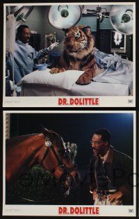 4k178 DOCTOR DOLITTLE 8 LCs '98 Eddie Murphy, Ossie Davis, Oliver Platt!