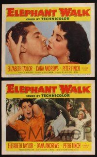 4k686 ELEPHANT WALK 4 LCs '54 romantic images of Elizabeth Taylor w/ Dana Andrews and Peter Finch!