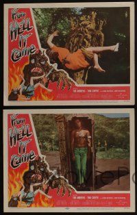 4k695 FROM HELL IT CAME 4 LCs '57 classic border art, wild images of tree monster & rituals!