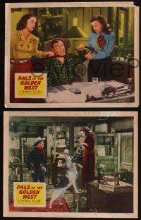 4k864 PALS OF THE GOLDEN WEST 3 LCs '51 great images of Roy Rogers & pretty Dale Evans!