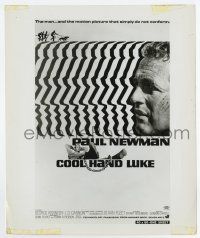 4m235 COOL HAND LUKE 8.25x9.75 still '67 cool image of Paul Newman used on the one-sheet!