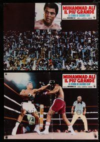 4p484 FLOAT LIKE A BUTTERFLY STING LIKE A BEE set of 7 Italian photobustas '77 Muhammad Ali, boxing