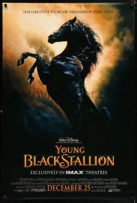 4r847 YOUNG BLACK STALLION advance DS 1sh '03 Walt Disney, greatest story of friendship ever told!