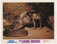 4w670 LIVING DESERT LC R71 first feature-length Disney True-Life adventure, cool snake & hawk c/u!