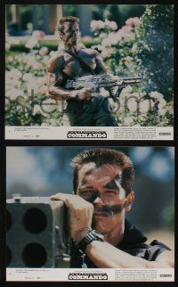 4x715 COMMANDO 8 8x10 mini LCs '85 Arnold Schwarzenegger, 13 year-old Alyssa Milano!