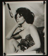 4x133 COUNTESS FROM HONG KONG 14 8x10 stills '67 cool images of Marlon Brando, sexy Sophia Loren
