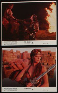 4x879 RED SONJA 8 8x10 mini LCs '85 Brigitte Nielsen & Arnold Schwarzenegger, Richard Fleischer!