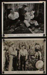 4x392 WHITE ORCHID 6 8x10 stills R57 William Lundigan, Peggie Castle, wild Aztec jungle images!