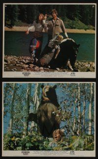 4x032 ADVENTURES OF THE WILDERNESS FAMILY 4 color English FOH LCs '75 cool bear, cougar!