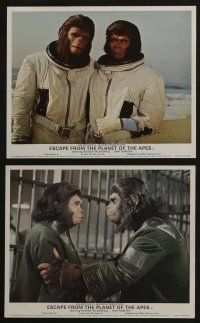 4x014 ESCAPE FROM THE PLANET OF THE APES 7 color English FOH LCs '71 Kim Hunter, Roddy McDowall!