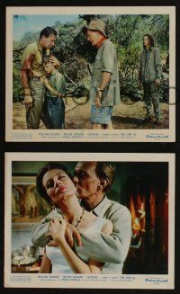 4x055 LION 3 color English FOH LCs '63 William Holden, Trevor Howard & Capucine in Africa!
