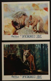 4x008 PERRI 8 color English FOH LCs '57 Disney's fabulous first in motion picture story-telling!
