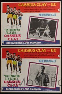 4y157 A.K.A. CASSIUS CLAY 8 Mexican LCs '70 many great images of the boxing legend!