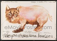 5b368 WIEPODZIEWAMA KONIENA Polish 26x37 '79 wild Marek Ploza-Dolinski art of hybrid cat-pig!