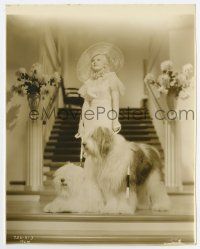 5d150 BOMBSHELL 7.5x9.5 still '33 beautiful Jean Harlow posing with her two cool sheep dogs!