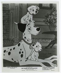 5d694 ONE HUNDRED & ONE DALMATIANS 8.25x10 still '61 Disney classic cartoon, great dog image!