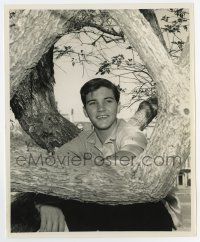 5d294 DONNA REED SHOW TV 8.25x10 still '60s close up of Paul Petersen as the son Jeff!